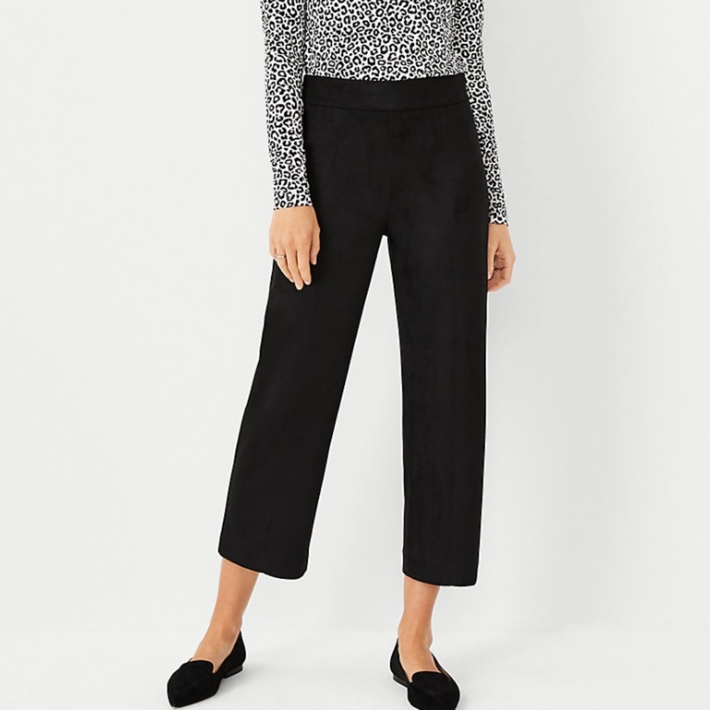 Ann Taylor “The Straight Crop”